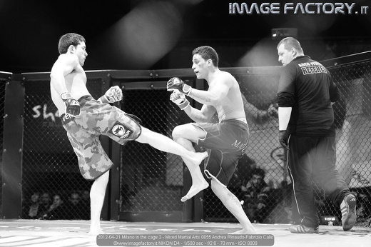 2012-04-21 Milano in the cage 2 - Mixed Martial Arts 0055 Andrea Rinaudo-Fabrizio Calio